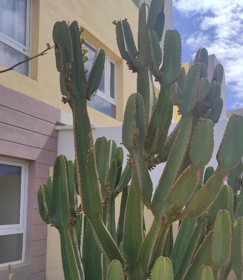Apartamento Con Azotea Privada #Thefunnycactus Apartment Puerto del Rosario  Exterior photo